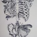 Vickie slone