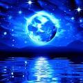 Waleed