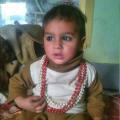 Sher Khan