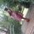 Ahad Lugo