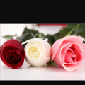 shyam