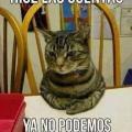 Roberto Alcazar Freire