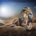 Farhan