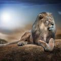 Farhan