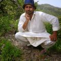 zulfiqarali 