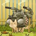 Shiroe