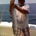 fredy