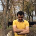 Saman